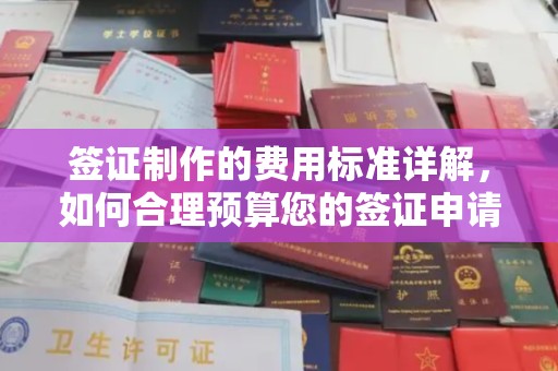 让胡路签证制作的费用标准详解，如何合理预算您的签证申请成本